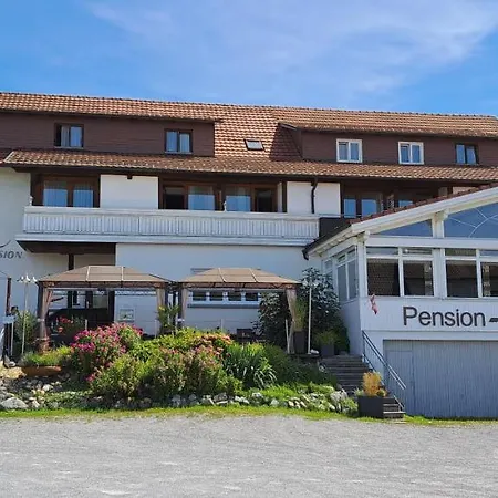 Seeblick Hörbranz